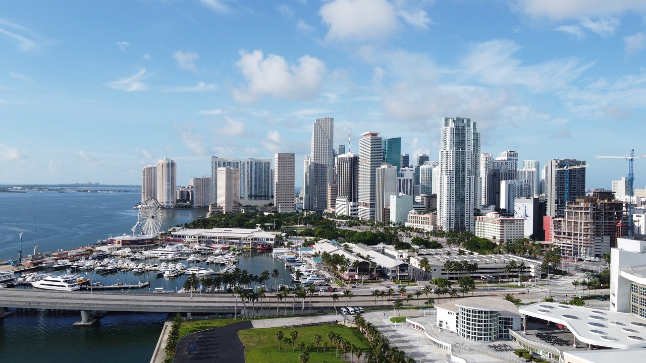 Insurance Claims Help in Sarasota
