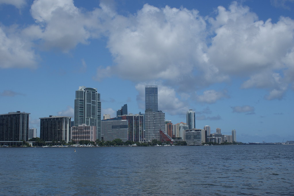 Mold Remediation Help in Cape Coral