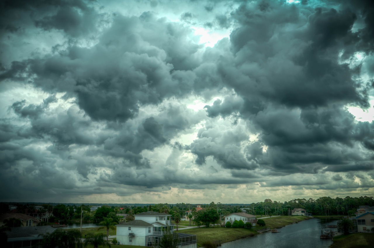 Mold Remediation Help in Cape Coral