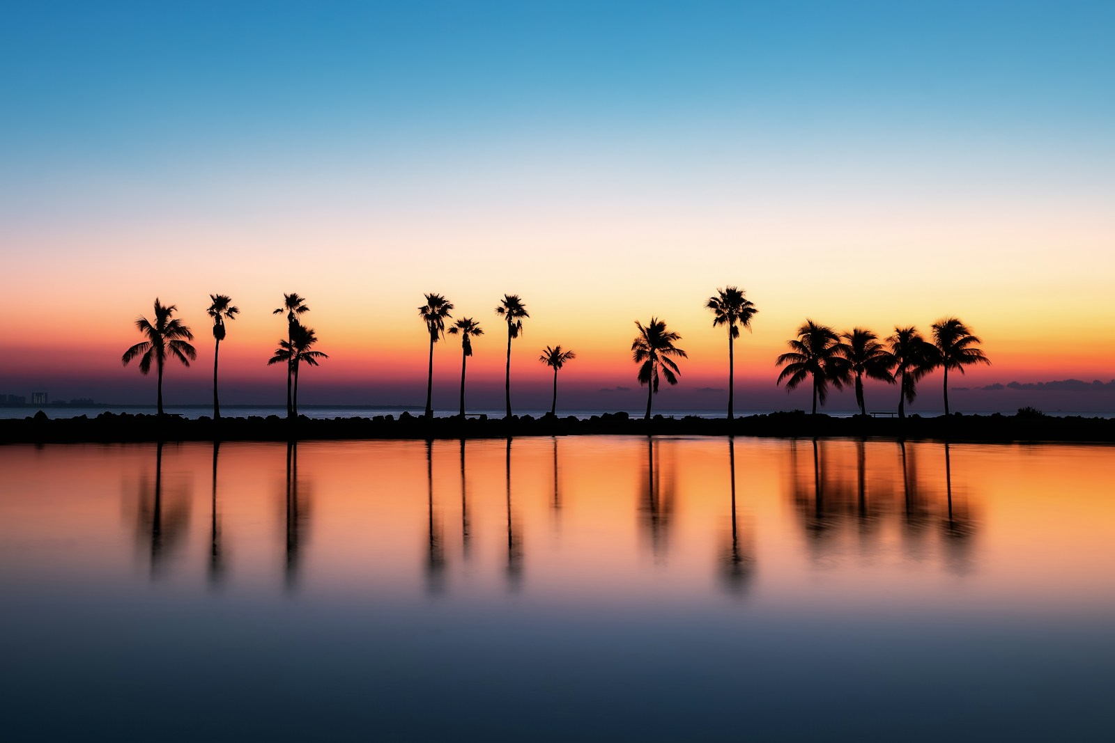 Mold Remediation Help in Sarasota
