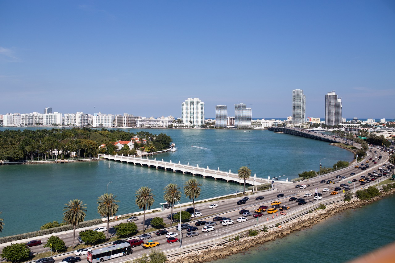 Mold Remediation Help in Sarasota