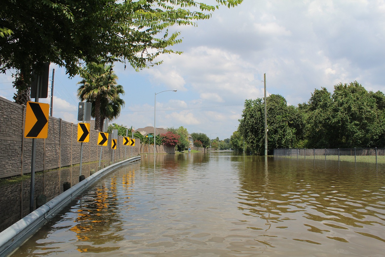 Storm Damage Help in St Petersburg