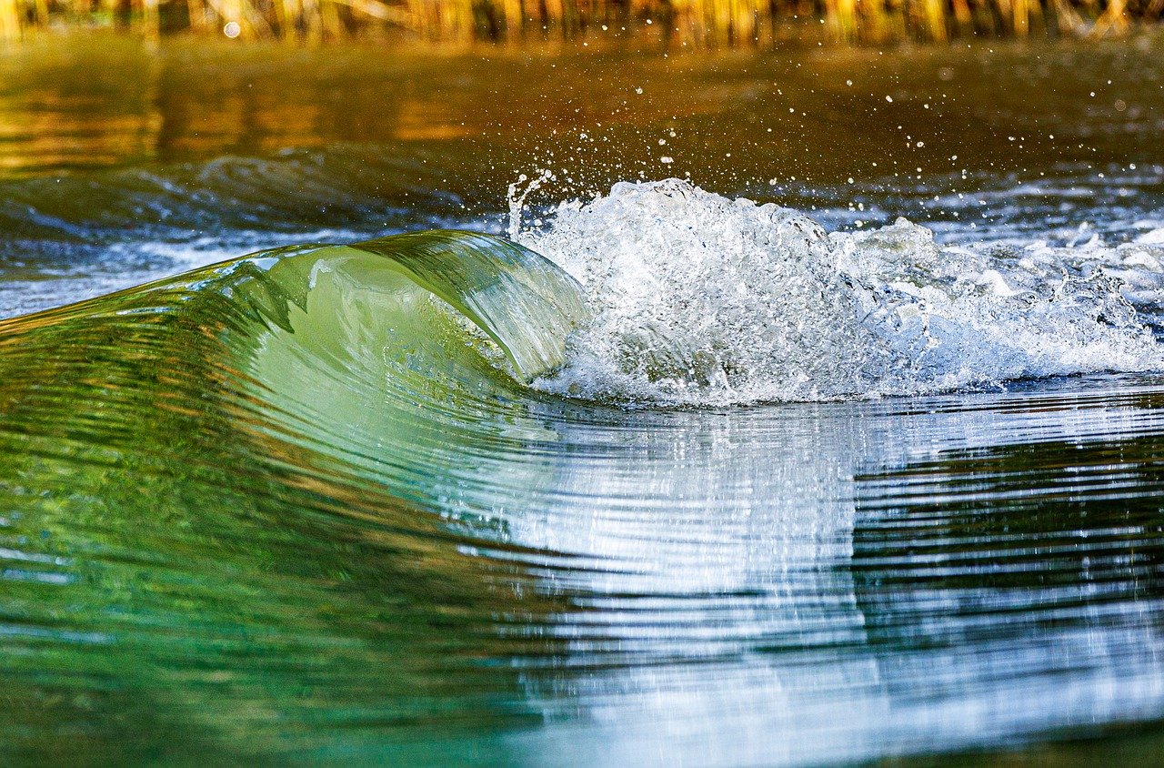 Water Damage Help in Clearwater