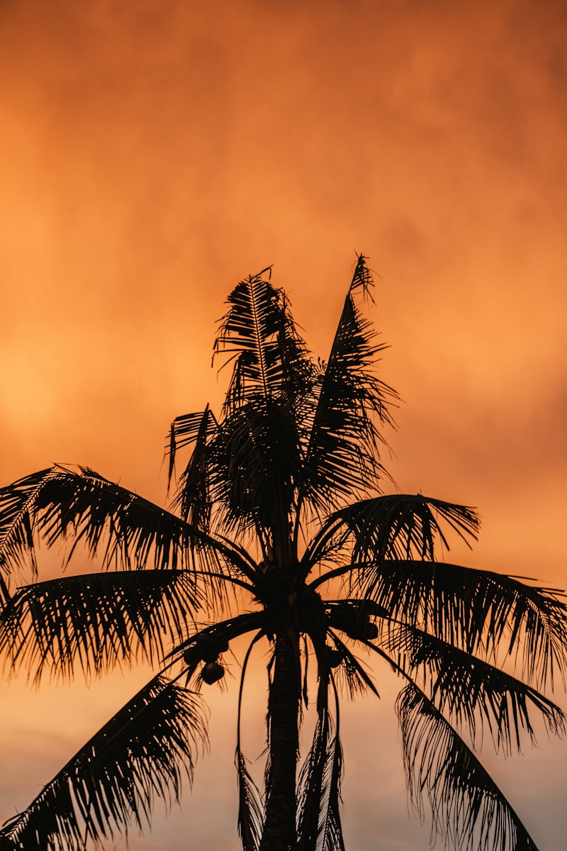 Water Damage Help in Sarasota