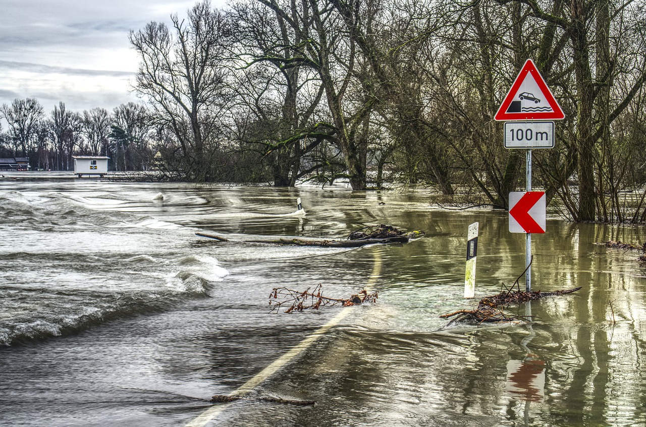 Water Damage Help in St Petersburg