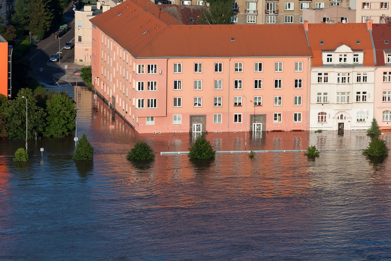 Water Damage Help in Tampa